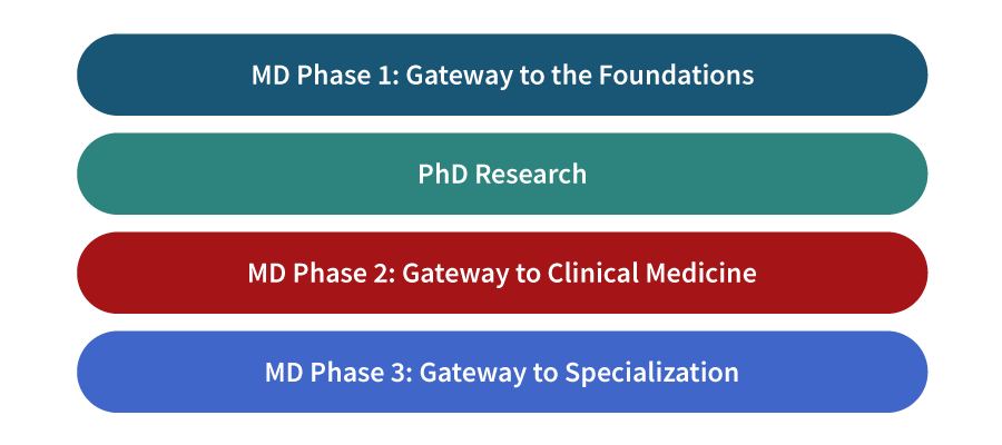 MSTP curriculum graphic